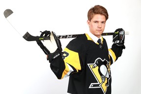 The Maple Leafs acquired Filip Hallander in a trade with the Pittsburgh Penguins, who selected the centre 58th overall in the 2018 NHL Draft.