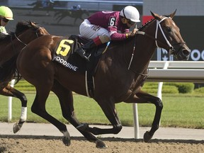 Jockey Rafael Hernandez guides Halo Again to victory  in the $125,000  Queenston Stakes on July 4, 2020.  As of Aug. 8, 2020, Hernandez leads the Woodbine jockey colony in season wins.