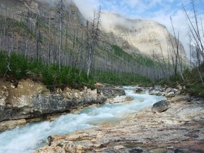 Marble Canyon in B.C.'s Kootenay National Park is pictured in this June 10, 2014 file photo.