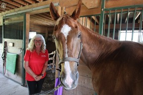 Willaway Farm owner Susan Allan shares a laugh with Diesel the horse during a horse yoga session at her Almonte facility. IAN SHANTZ/TORONTO SUN