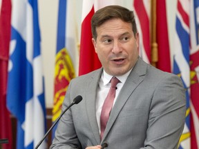 Federal Minister of Immigration, Refugees and Citizenship Marco Mendicino announces a program to help asylum seekers who worked in the healthcare system during the COVID-19 pandemic to gain permanent residence status at a news conference in Montreal, Friday, Aug. 14, 2020.