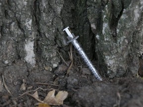 a needle against a tree in Alexandra Park, located at Bathurst and Dundas Sts.
