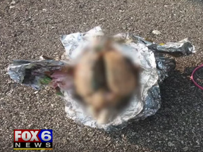 Wisconsin man Jimmy Senda found what is believed to be a brain on a beach.