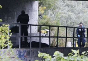 Toronto Police at the scene where a body was discovered under a bridge at Highway 27 and West Humber Trail on Monday, September 7, 2020.