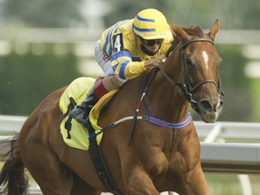 Pink Lloyd, with jockey Rafael Hernandez in the saddle, won the Vigil Stakes easily on Saturday at Woodbine Racetrack.