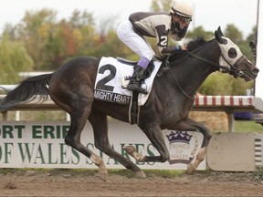 Jockey Daisuke Fukumoto guides Mighty Heart to victory in the Prince of Wales Stakes, the $400,000 second leg of the Canadian Tripe Crown, at Fort Erie on Sept. 29, 2020. Mighty Heart is owned by Lawrence P. Cordes and trained by Hall of Fame trainer Josie Carroll.