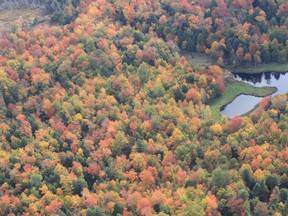 An aerial view from a float plane 2,000 feet off the water shows some of the colourful scenery in and around the Ramara Township and Orillia area that can be viewed during a fall colours tour offered by Lake Country Airways.