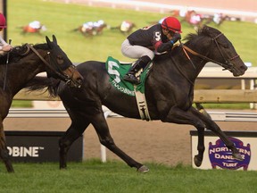 Jockey Justin Stein will be aboard Dotted Line at the Breeders' Stakes.