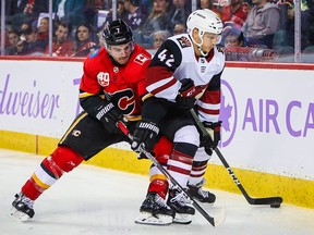 Arizona Coyotes defenceman Aaron Ness (42) and Calgary Flames defenceman T.J. Brodie (7) battle for the puck at Scotiabank Saddledome.