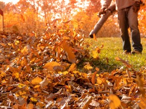 leaf blower