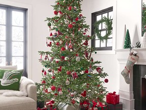 Choosing the tree is where to start when
planning out your holiday decor. 9-Foot
Balsam Fir Christmas Tree with 1,200 White
LED Lights, $999, crateandbarrel.ca.
SUPPLIED