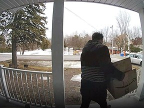 A porch pirate in Toronto. Sun files.