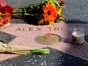 Flowers are seen on Alex Trebek's star on the Hollywood Walk of Fame on November 08, 2020 in Hollywood, California.