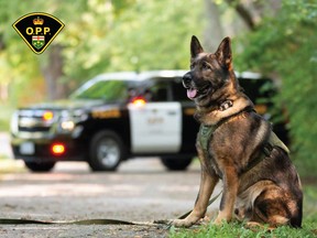 The OPP have released its annual canine calendar.