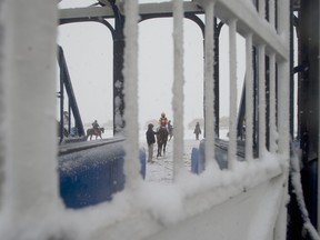 Jockey Justin Stein waits to load into the starting gate for Race 4 at snowy Woodbine yesterday. The weather halted the meet after six races while the provincial government’s COVID-19 lockdown scrubbed the remaining 12 days of racing.