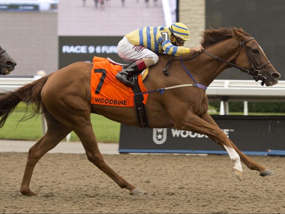 Woodbine forced to cancel more racing as the province dithers Toronto Sun