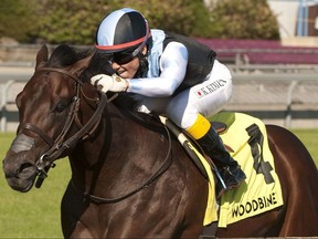 Jockey Kazushi Kimura guides Gretzky the Great to victory in the $250,000 Summer Stakes at Woodbine on Sept. 20, 2020.