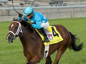 Jockey Justin Stein guides Starship Jubilee to victory in the $1,000,000 Ricoh Woodbine Mile on Sept. 19, 2020.