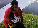 An image released by OPP of a suspect in an alleged package theft in Caledon on Oct. 28, 2020.