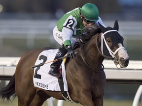 Jockey Steven Bahen guides Jilli Marie to victory in the $100,000 South Ocean Stakes on Saturday at Woodbine Racetrack. Jilli Marie is owned by Kevin Drew and trained by Katerina Vassilieva.