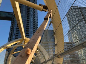 The Toronto Wildlife Centre confirms that as of Wednesday, Nov. 11, 2020, a raccoon that appeared to be stuck on a pedestrian bridge near Cityplace was no longer on the structure.