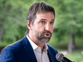 Environmentalist Steven Guilbeault announces his candidacy for the Liberal Party of Canada for the fall elections in Montreal on June 21, 2019.