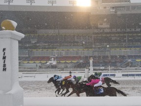Hello Friends captures the 1st race at Woodbine on Nov. 22, 2020. Racing was stopped at Woodbine after that date due to the pandemic lockdown in Toronto.