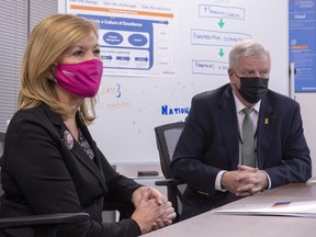 Ontario Health Minister Christine Elliott and Rick Hillier, who is overseeing the COVID-19 vaccine rollout, participate in a meeting at McKesson Canada in Toronto on December 1, 2020.