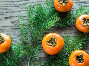 Fresh persimmons with fir branch