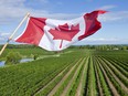 Canadian wine industry in southern Ontario.