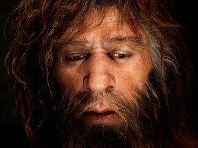 A hyperrealistic face of a Neanderthal male is displayed in a cave in the Neanderthal Museum in the northern Croatian town of Krapina, Feb. 25, 2010.