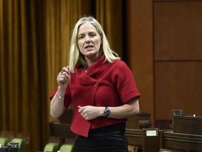 Minister of Infrastructure and Communities Catherine McKenna rises during Question Period in the House of Commons on Parliament Hill in Ottawa on Friday, Jan. 31, 2020.