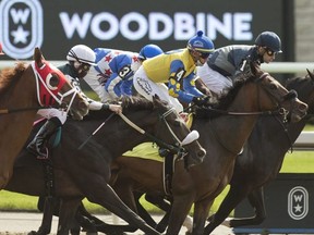 The shortened season at Woodbine, which had 28% fewer race dates than scheduled, was a primary contributor to a 10.5% decrease in all-sources handle. Michael Burns photo