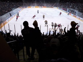 Oshawa Generals fans at the Tribute Communities Centre, in Oshawa, Ontario on Sunday January 14, 2018. (CP file photo)