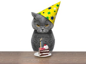 Over a dozen people in Santo Domingo, Chile, reportedly caught COVID-19 as a result of people attending a birthday party for a cat.