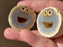 A geologist uncovered an agate gemstone with the insides resembling Cookie Monster. 