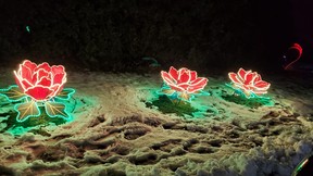 The Journey Into Enchantment drive-thru light show was shut down on Dec. 26 as part of government restrictions related to COVID-19. SUPPLIED PHOTO
