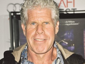 Actor Ron Perlman is seen in 2010.