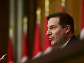 Minister of Immigration, Refugees and Citizenship Marco Mendicino holds a press conference in Ottawa, Thursday, Nov. 12, 2020.