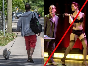 A visual primer on which creatures can be walked on a leash after curfew in Quebec.