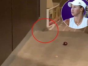 Kazak player Yulia Putintseva, inset, complained she could not sleep for the rodents scurrying around her room, which she captured in a video posted on her Twitter account.