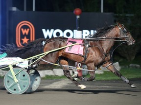 Horse racing will resume at Mohawk Woodbine next week.