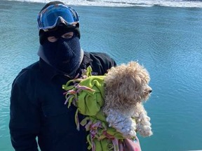 Jude Mead holds Alfonso the dog, who was rescued after being stranded on the Detroit River for four days.