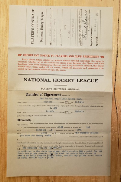 Bronzed maple leaf': The true untrue story of the NHL's first