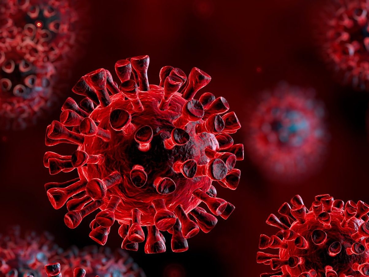 Vaccinated COVID19 patients appear less contagious Study Ottawa Sun