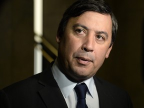 Conservative MP Michael Chong speaks to reporters as she arrives for a Conservative caucus retreat on Parliament Hill in Ottawa, on Jan. 24, 2020.