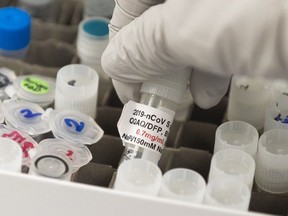 In this file photo Dr. Nita Patel, Director of Antibody discovery and Vaccine development, lifts a vial with a potential coronavirus, COVID-19, vaccine at Novavax labs in Gaithersburg, Maryland on March 20, 2020, one of the labs developing a vaccine for the coronavirus, COVID-19.