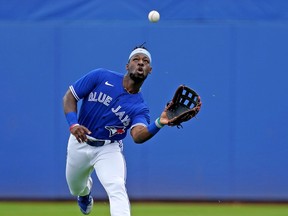 Blue Jays center fielder Jonathan Davis is willing do do whatever he can to make the roster.