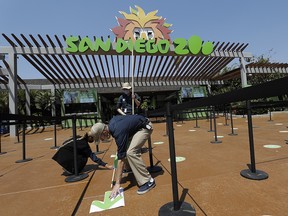 Devon Prince, front, puts down a sticker to guide visitors at the San Diego Zoo once it reopens, as Emmanuel Lopez, behind and Ariel Hayes look on, Thursday, June 11, 2020, in San Diego.