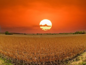 Fall sunrise over farmland